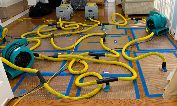 Professional Structural Drying And Dehumidification technician working in Robbins, IL